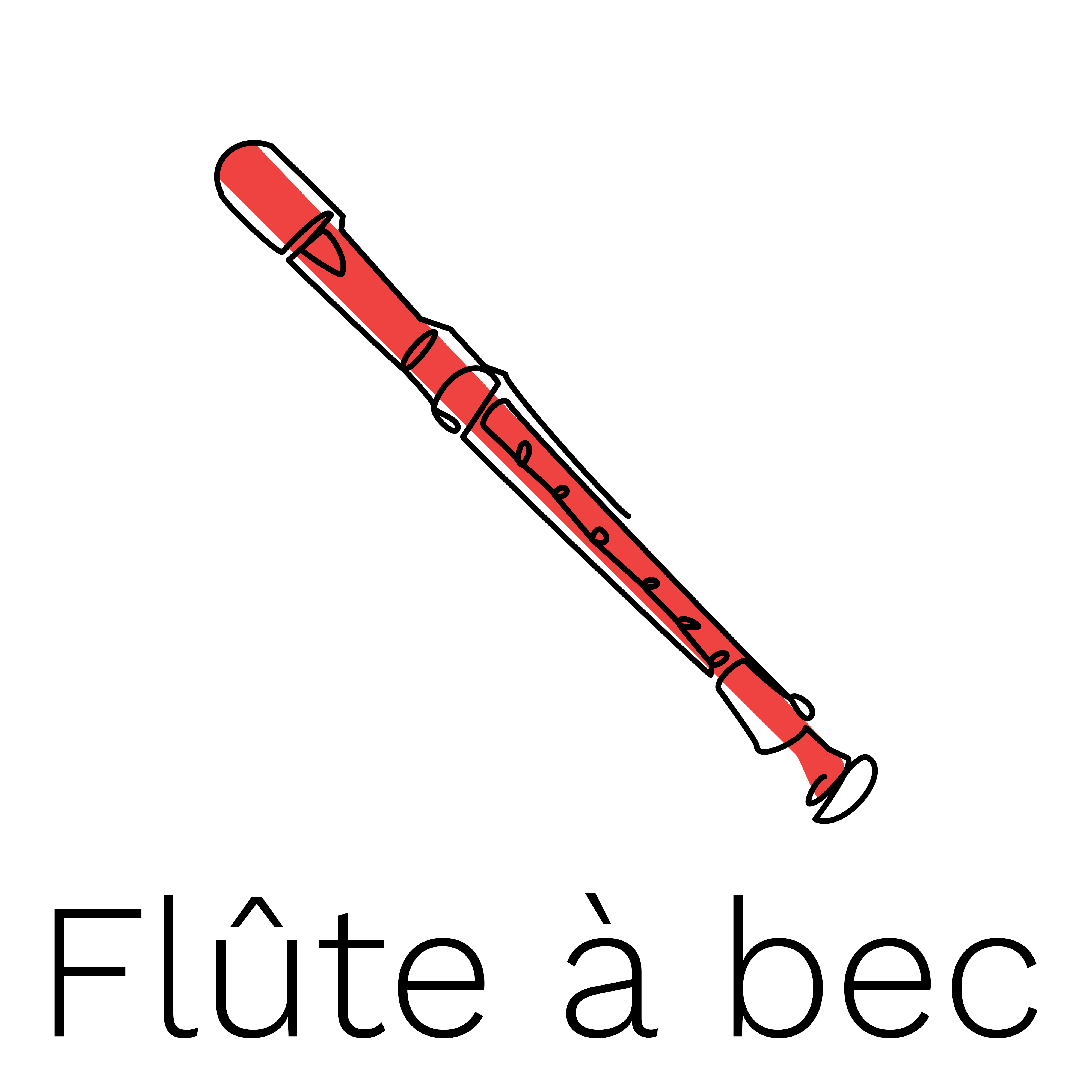 Flûte à bec