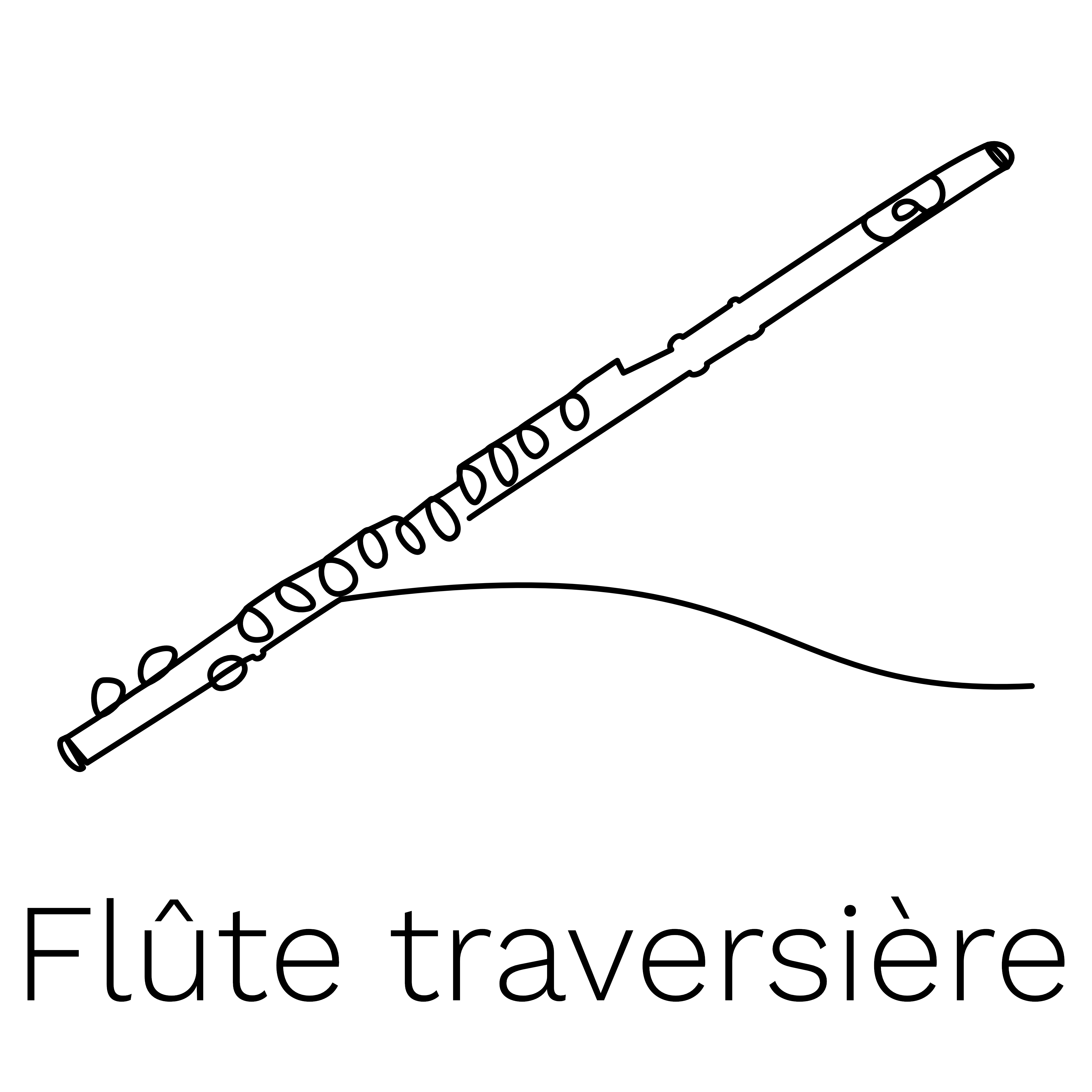 Flûte traversière